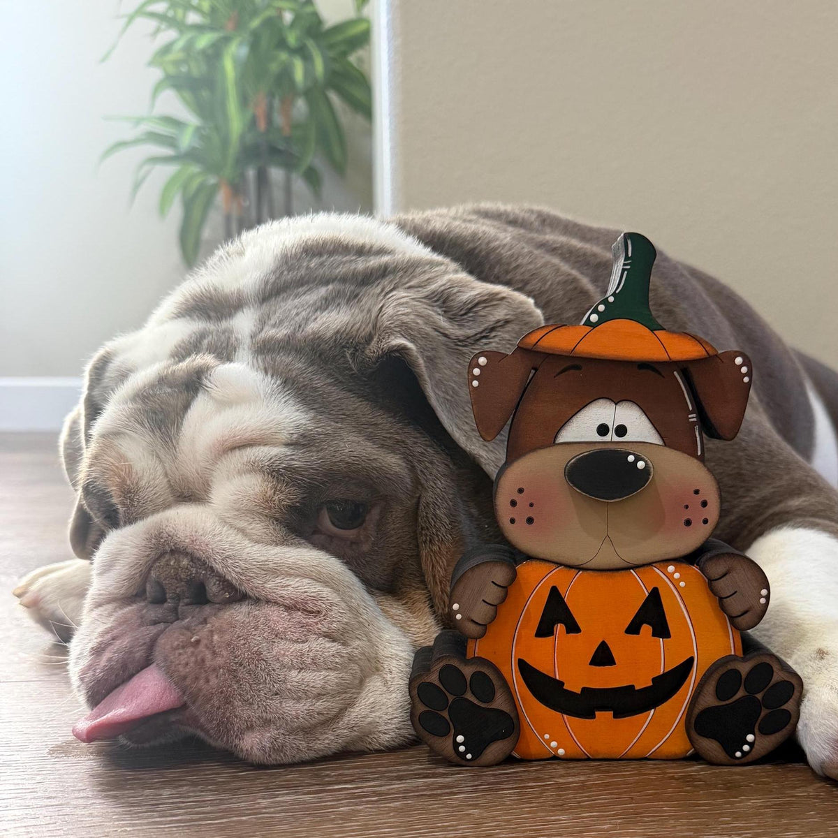 Halloween Dog Shelf Sitter in Pumpkin Costume, Dog Lover Gift