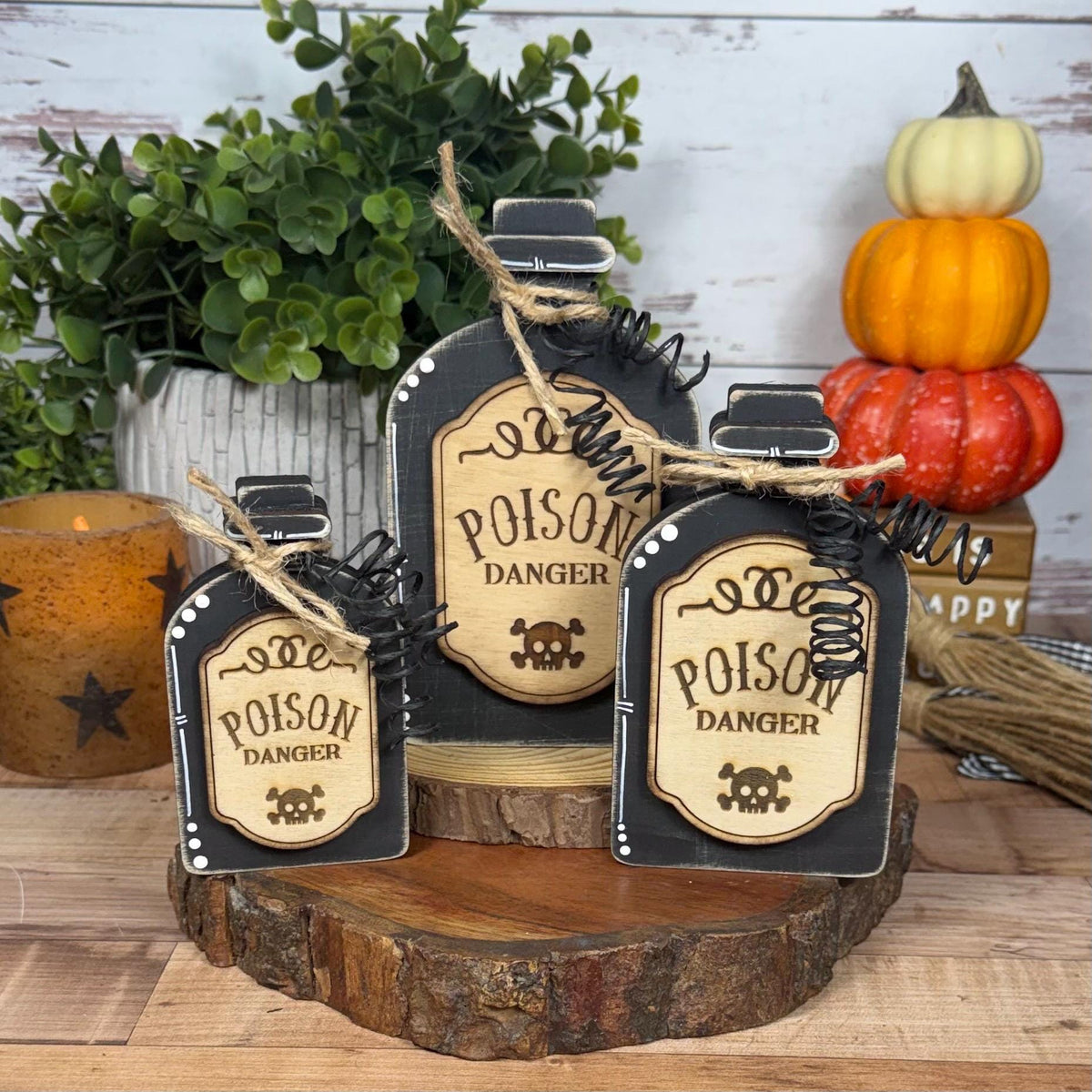Poison Bottle Decor, Witch Curse Halloween Apothecary Set, Raven's Omen